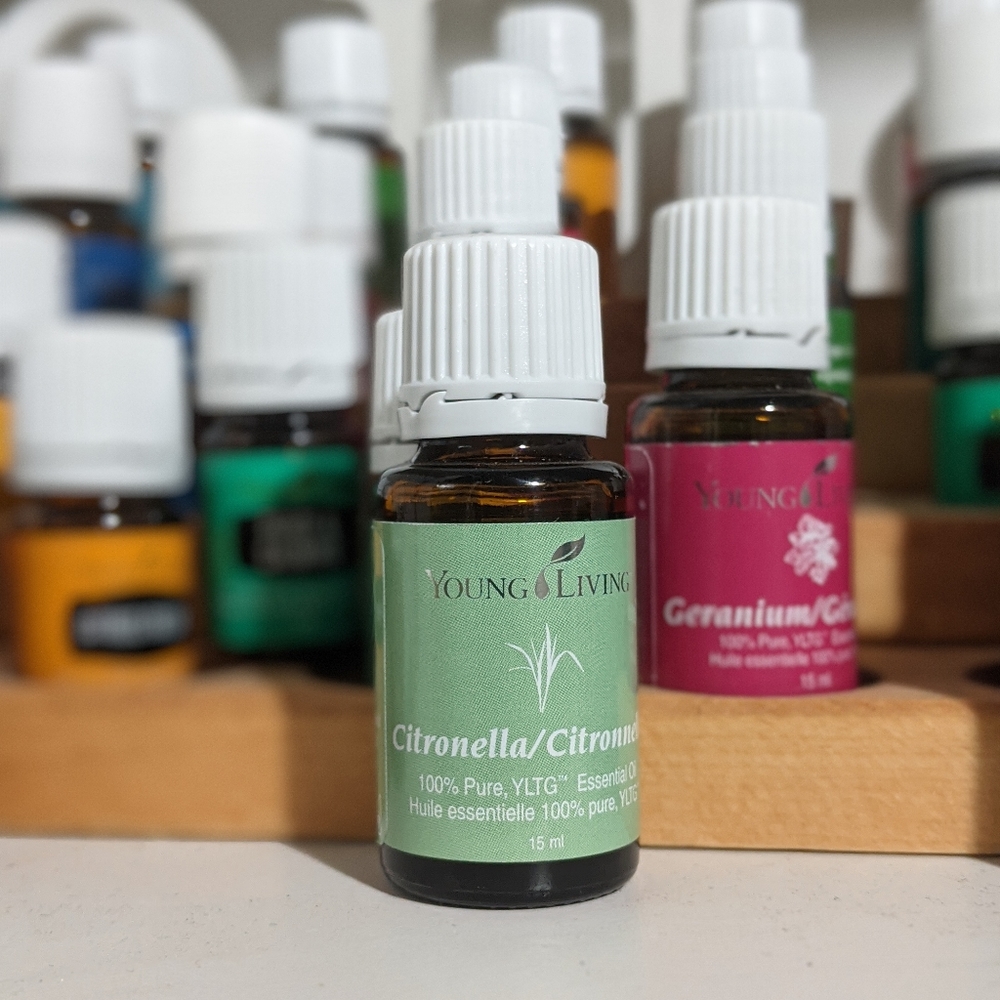 Essential Oil - Citronella 15ml - Picture 1 of 1